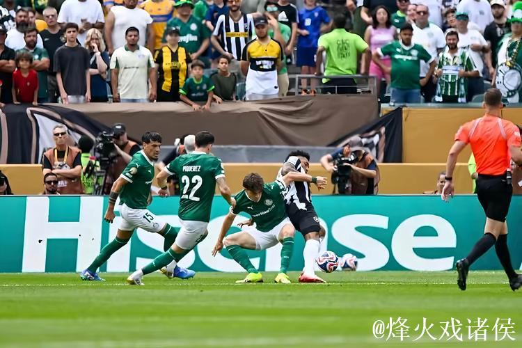 熊队胜波城，橄榄球欧冠第2轮战况